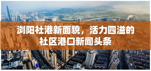 2025年6月 第119页