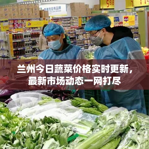 兰州今日蔬菜价格实时更新，最新市场动态一网打尽