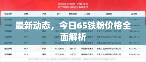 最新动态，今日65铁粉价格全面解析