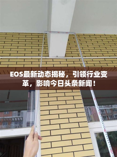 2025年6月 第91页