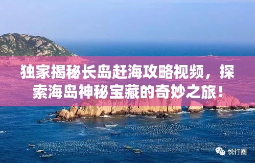 2025年6月 第85页