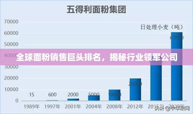 全球面粉销售巨头排名，揭秘行业领军公司