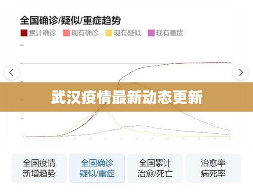 武汉疫情最新动态更新