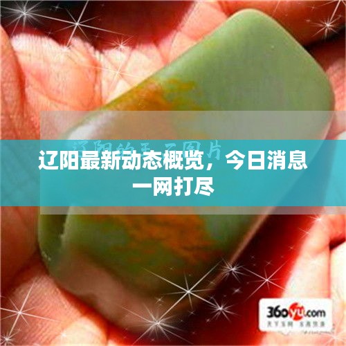 辽阳最新动态概览，今日消息一网打尽