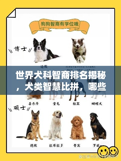 世界犬科智商排名揭秘，犬类智慧比拼，哪些狗狗独占鳌头？