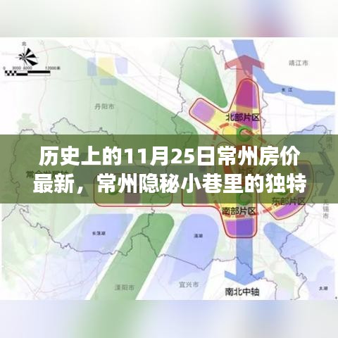 揭秘常州隐秘小巷的独特风情与房价变迁，一家特色小店的非凡故事与最新房价资讯（历史篇）