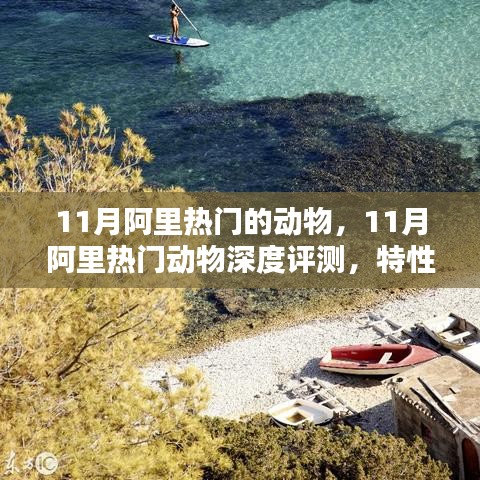 11月阿里热门动物深度解析，特性、体验、对比及用户需求分析
