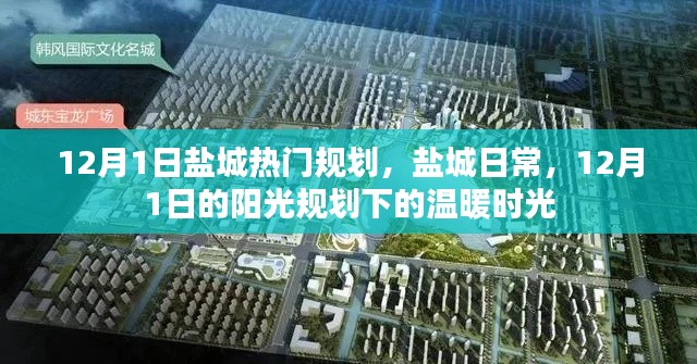 盐城日常，阳光规划下的温暖时光（12月1日）
