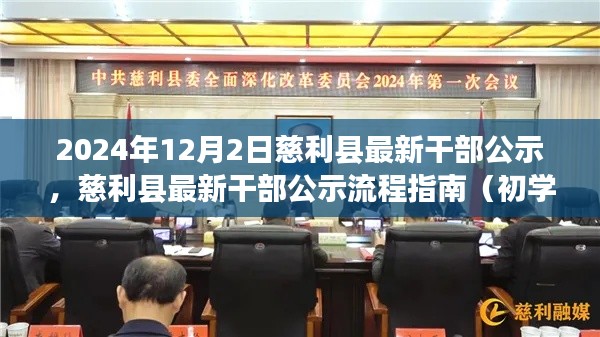 慈利县干部公示最新动态，公示流程指南（初学者与进阶用户必备）