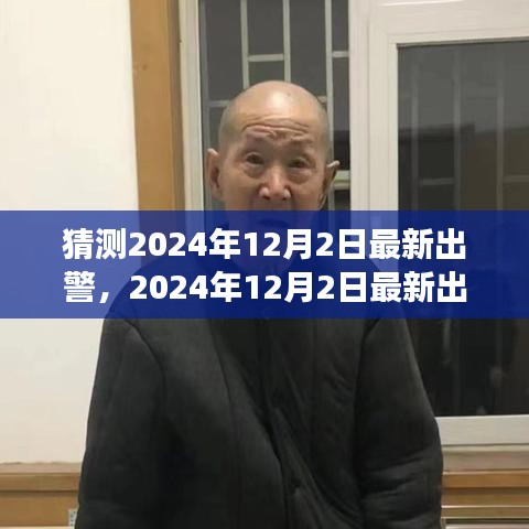 建议，深度探究，2024年12月2日最新出警事件背景、进展与影响