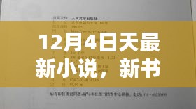 新书速递，12月4日热门小说概览