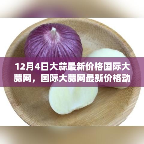 大蒜市场最新动态，国际大蒜网价格解析与趋势探讨