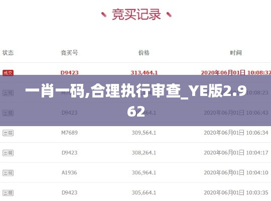 一肖一码,合理执行审查_YE版2.962