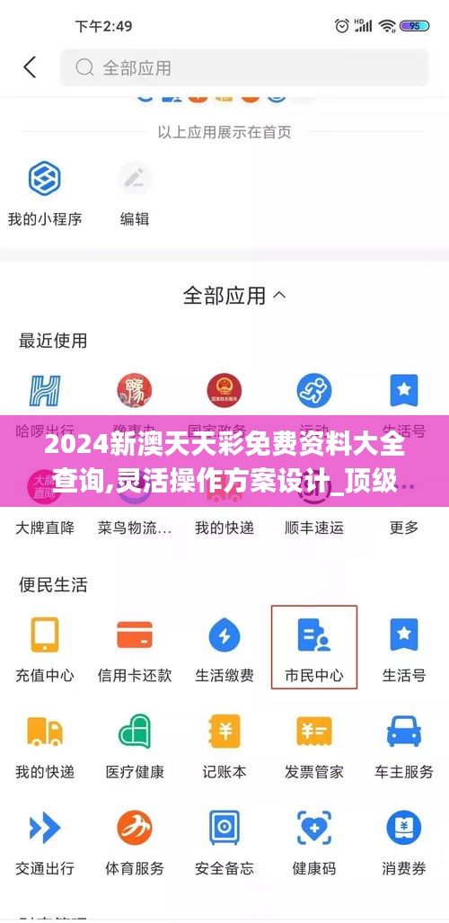2024新澳天天彩免费资料大全查询,灵活操作方案设计_顶级版3.125