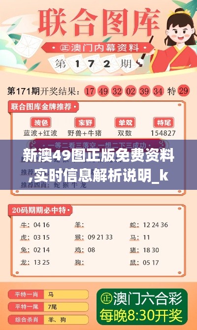 新澳49图正版免费资料,实时信息解析说明_kit4.369