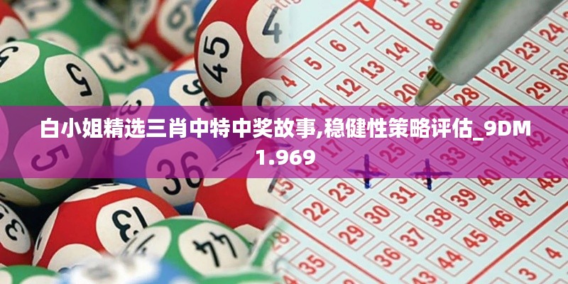 白小姐精选三肖中特中奖故事,稳健性策略评估_9DM1.969