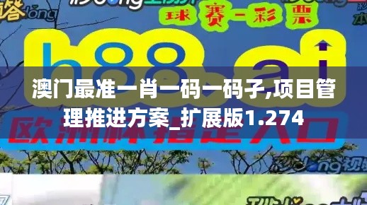 澳门最准一肖一码一码孑,项目管理推进方案_扩展版1.274