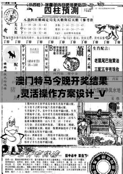 澳门特马今晚开奖结果,灵活操作方案设计_VIP8.304