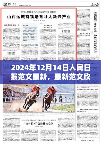 人民日报2024年12月14日精彩范文赏析与文章一览