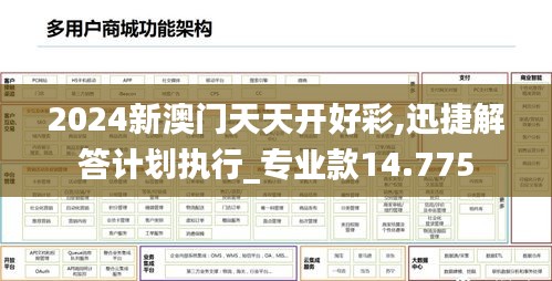 2024新澳门天天开好彩,迅捷解答计划执行_专业款14.775