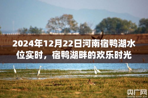 河南宿鸭湖水位实时更新，欢乐时光与温情故事交织的湖畔岁月（2024年12月22日）