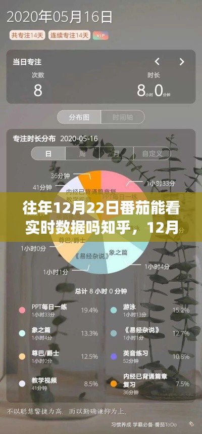 12月22日番茄时钟下的自然之旅，实时数据与心灵静谧时光的探索