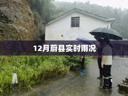 蔚县12月实时降雨情况