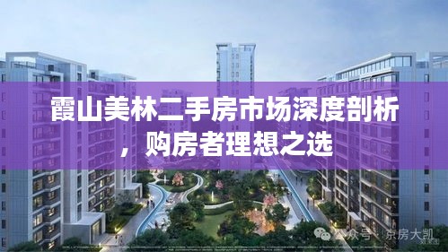霞山美林二手房市场深度剖析，购房者理想之选