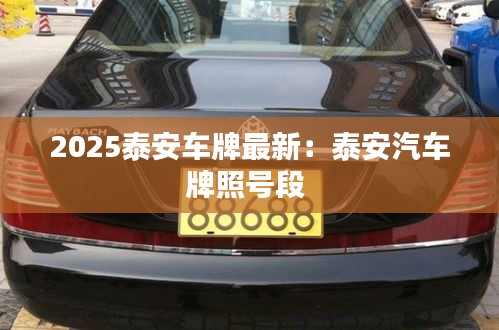 2025泰安车牌最新：泰安汽车牌照号段 