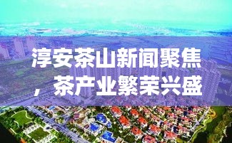 淳安茶山新闻聚焦，茶产业繁荣兴盛，发展势头强劲