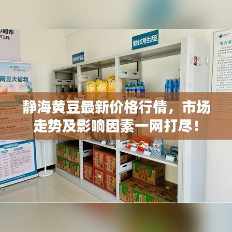 静海黄豆最新价格行情，市场走势及影响因素一网打尽！
