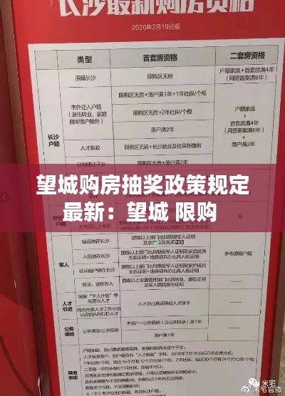 鸟惊鼠窜 第2页