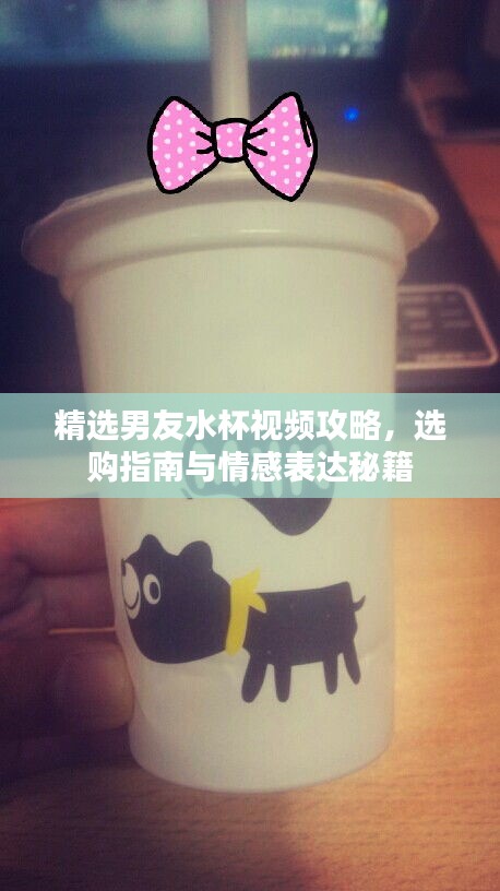 精选男友水杯视频攻略，选购指南与情感表达秘籍