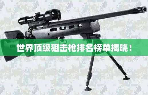 世界顶级狙击枪排名榜单揭晓！