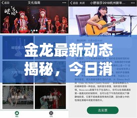 金龙最新动态揭秘，今日消息一网打尽
