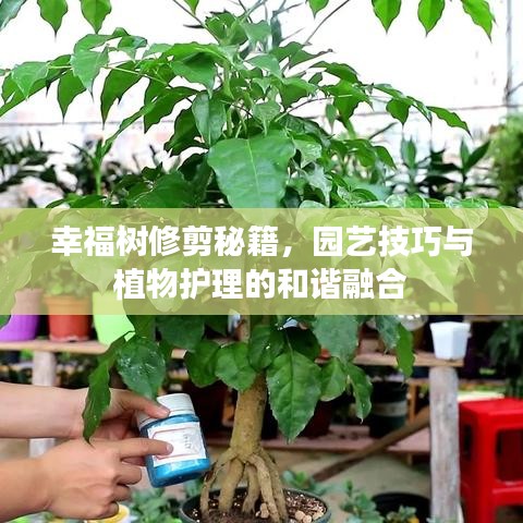 敷衍了事 第2页