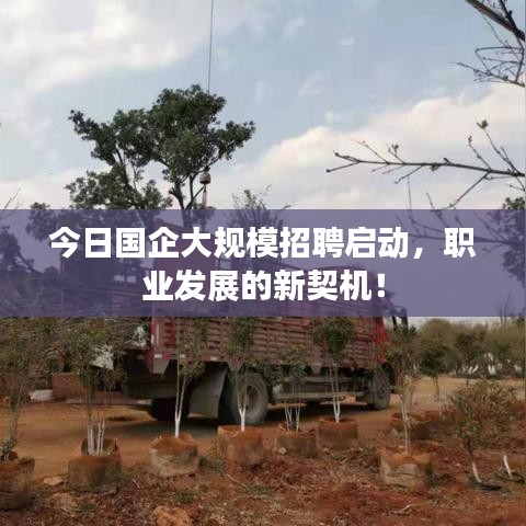 今日国企大规模招聘启动，职业发展的新契机！