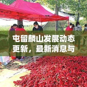 屯留麟山发展动态更新，最新消息与未来展望