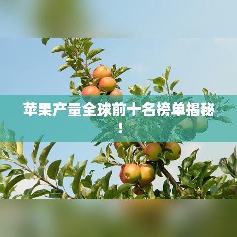 苹果产量全球前十名榜单揭秘！