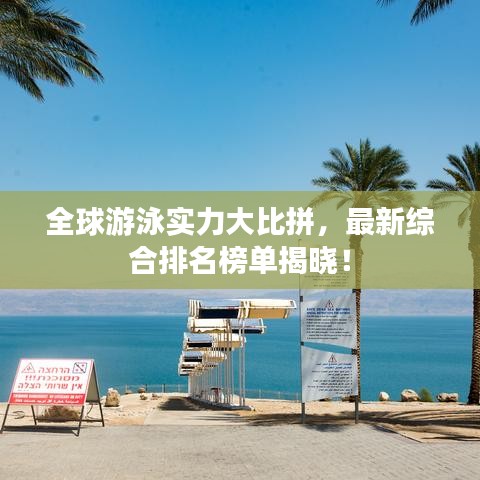 操作指南 第3页