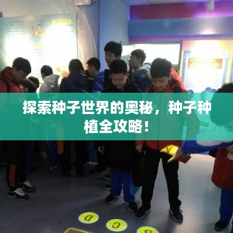常见问题 第2页