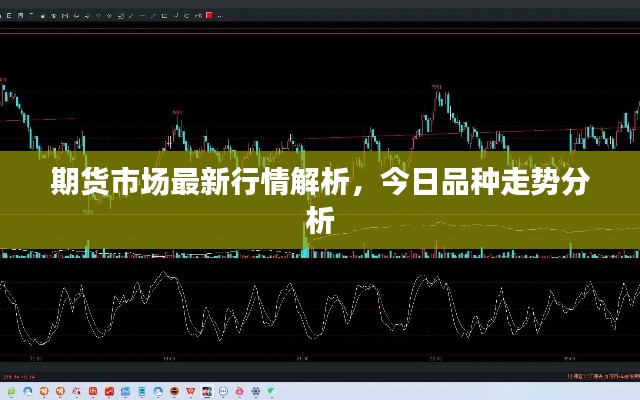 期货市场最新行情解析，今日品种走势分析
