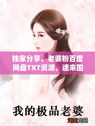 独家分享，老婆粉百度网盘TXT资源，速来围观！