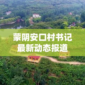 蒙阴安口村书记最新动态报道