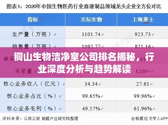 铜山生物洁净室公司排名揭秘，行业深度分析与趋势解读