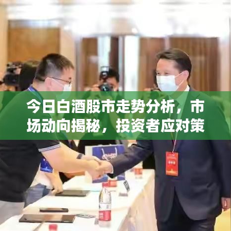 今日白酒股市走势分析，市场动向揭秘，投资者应对策略探讨