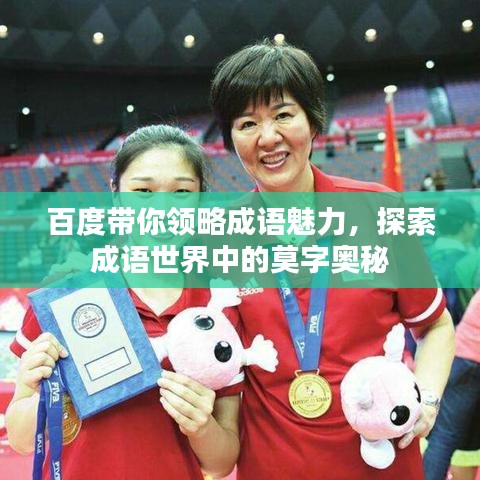 百度带你领略成语魅力，探索成语世界中的莫字奥秘