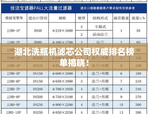 湖北洗瓶机滤芯公司权威排名榜单揭晓！