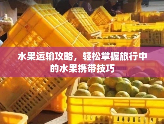 水果运输攻略，轻松掌握旅行中的水果携带技巧