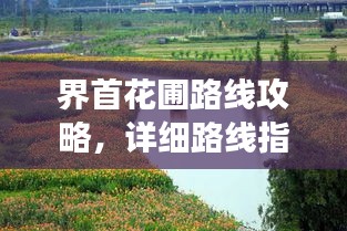 界首花圃路线攻略，详细路线指引，带你畅游花海！